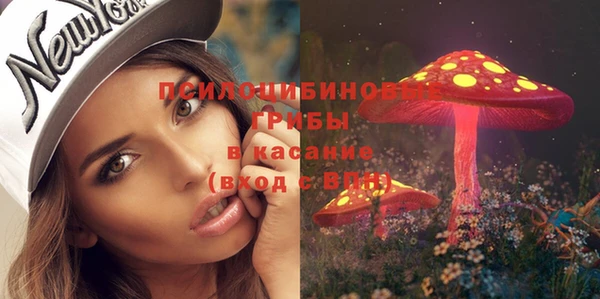 дмт Волосово