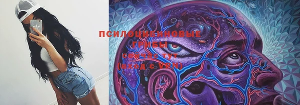 дмт Волосово