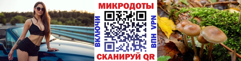 Псилоцибиновые грибы GOLDEN TEACHER Михайловск