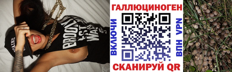 Галлюциногенные грибы прущие грибы  Купить  Михайловск 